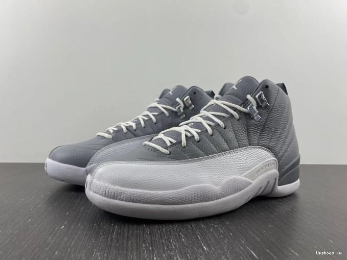 Retro 12 Stealth Jordan CT8013-015 0209